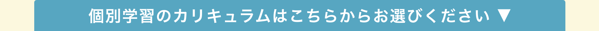 カリキュラムはこちらからお選びください ▼