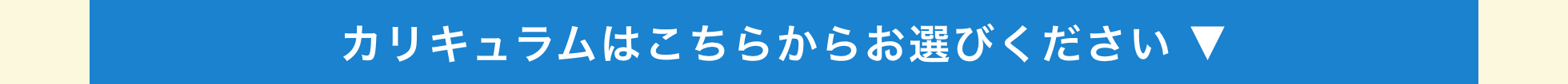 カリキュラムはこちらからお選びください ▼