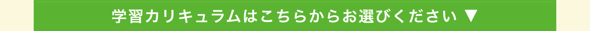 カリキュラムはこちらからお選びください ▼