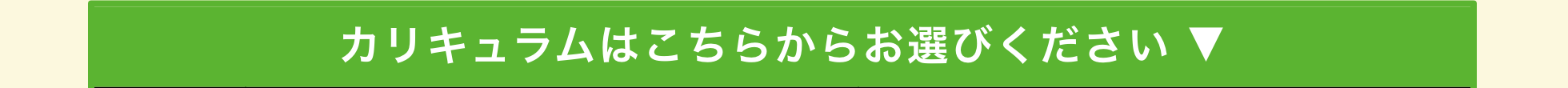 学習カリキュラムはこちらからお選びください ▼